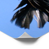 Portret Turkse gier Poster (Hoek)