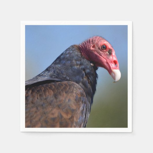 Portret Turkse gier Servet (Voorkant)