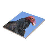 Portret Turkse gier Tegeltje (Zijkant)