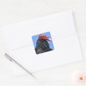 Portret Turkse gier Vierkante Sticker (Envelop)