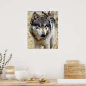 Portret van A Wolf Poster (Keuken)