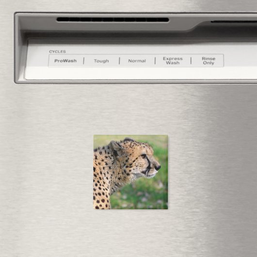 Portret van Afrikaanse Cheetah Magneet (Insitu (Vaatwasser))
