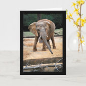 Portret van Afrikaanse Olifant Kaart (Gele Bloem)