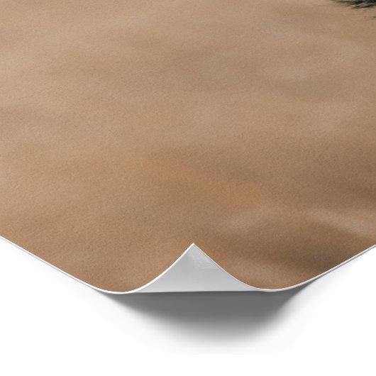 Portret van Airedale Terrier 2 Poster (Hoek)