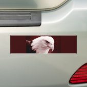 Portret van American Bald Eagle Bumpersticker (Op auto)
