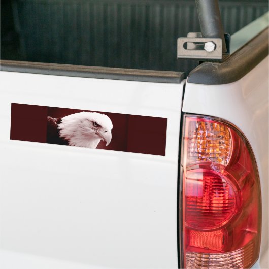 Portret van American Bald Eagle Bumpersticker (Op Truck)