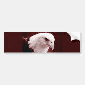 Portret van American Bald Eagle Bumpersticker (Voorkant)