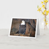 Portret van American Bald Eagle Kaart (Gele Bloem)