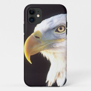 Portret van Amerikaanse zeearend, Haliaeetus leuco Case-Mate iPhone Case
