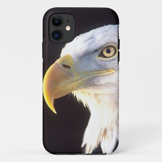 Portret van Amerikaanse zeearend, Haliaeetus leuco Case-Mate iPhone Case (Achterkant)