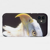 Portret van Amerikaanse zeearend, Haliaeetus leuco Case-Mate iPhone Case (Achterkant (horizontaal))