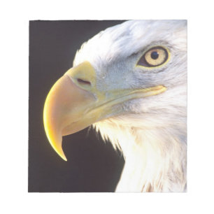Portret van Amerikaanse Zeearend, Haliaeetus leuco Notitieblok