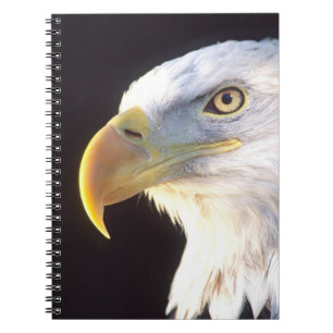 Portret van Amerikaanse zeearend, Haliaeetus leuco Notitieboek