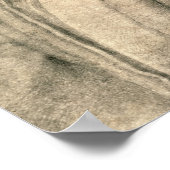 Portret van Andrea Quaratesi, c.1532 Poster (Hoek)