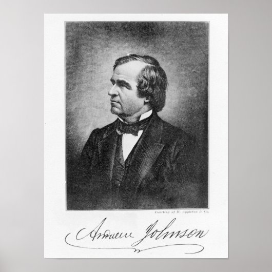 Portret van Andrew Johnson Poster (Voorkant)