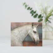 Portret van apple Gray Andalusië Briefkaart (Staand voorkant)