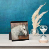 Portret van apple Gray Andalusië Fotoplaat (Insitu)