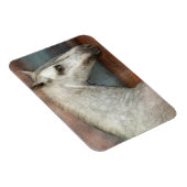 Portret van apple Gray Andalusië Magneet (Rechterzijde)