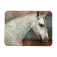 Portret van apple Gray Andalusië