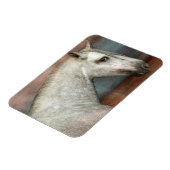 Portret van apple Gray Andalusië Magneet (Linkerzijde)