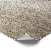 Portret van apple Gray Andalusië Poster (Hoek)