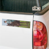 Portret van Attilio Triboletti (Cavalry Soldier) Bumpersticker (Op Truck)