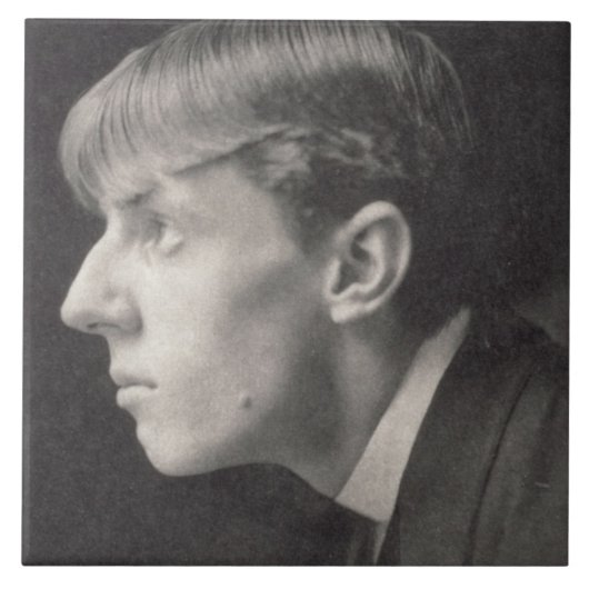 Portret van Aubrey Beardsley (1872-1998) van Frede Tegeltje (Voorkant)