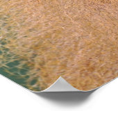 Portret van baboon poster (Hoek)