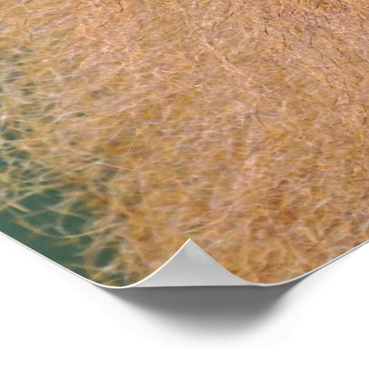 Portret van baboon poster (Hoek)