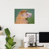 Portret van baboon poster (Thuiskantoor)