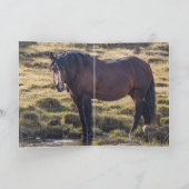 Portret van Bello Wenskaart (Binnen)