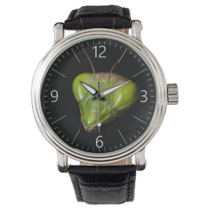Portret van bidsprinkhaankreeft horloge