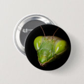 Portret van bidsprinkhaankreeft ronde button 5,7 cm (Voorkant /achterkant)