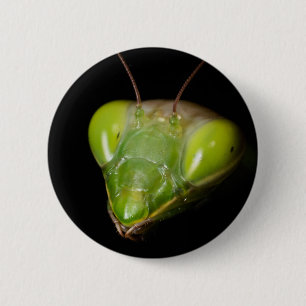 Portret van bidsprinkhaankreeft ronde button 5,7 cm