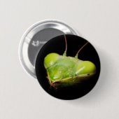 Portret van bidsprinkhaankreeft ronde button 5,7 cm (Voorkant /achterkant)