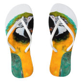 portret van blauwgroen papegaaivogel teenslippers (Voetbed)