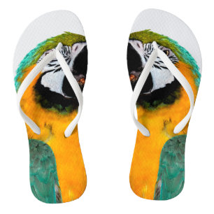portret van blauwgroen papegaaivogel teenslippers