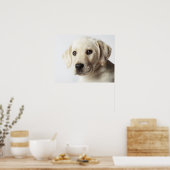Portret van blond Labrador Retriever Puppy Poster (Keuken)