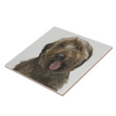 Portret van Briard-hond Tegeltje (Zijkant)