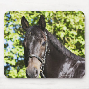 portret van bruin paard 2 muismat