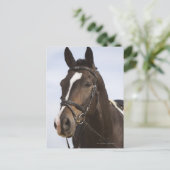 portret van bruin paard briefkaart (Staand voorkant)