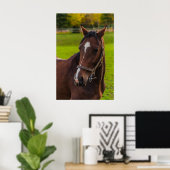 Portret van bruin paard poster (Thuiskantoor)