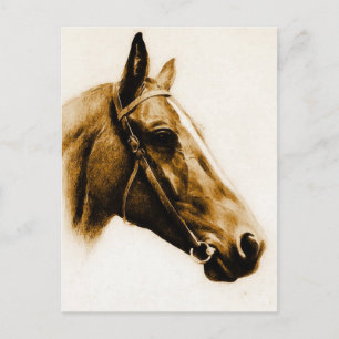 Portret van bruin Tones Horse Briefkaart