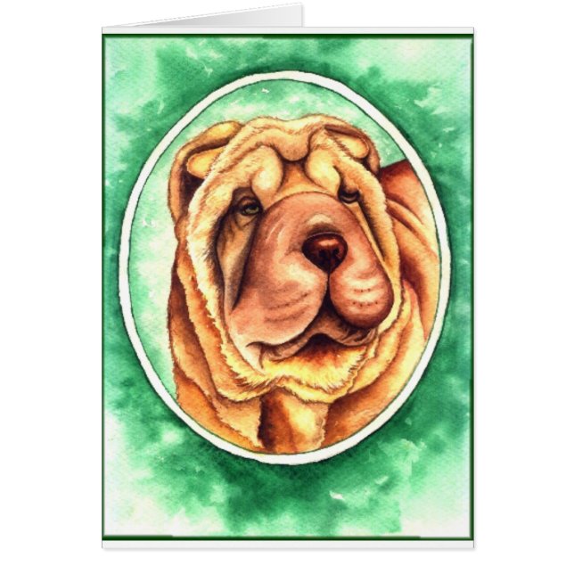 Portret van Cayenne (Voorkant)