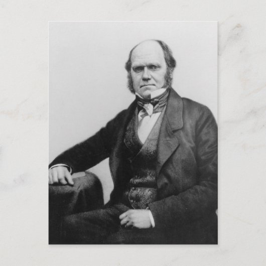Portret van Charles Darwin, 1854 Briefkaart (Voorkant)