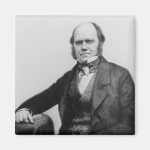 Portret van Charles Darwin, 1854 Magneet