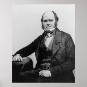 Portret van Charles Darwin, 1854 Poster