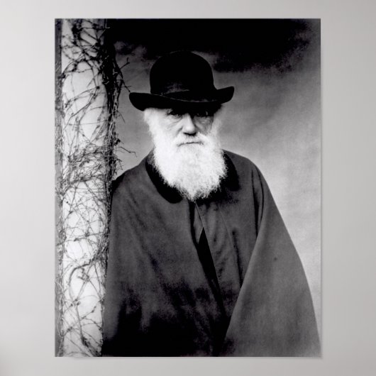 Portret van Charles Darwin 1881 Poster (Voorkant)