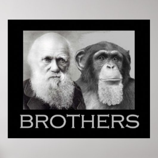 Portret van Charles Darwin en Ape Poster (Voorkant)