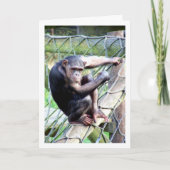 Portret van chimpansee kaart (Voorkant)